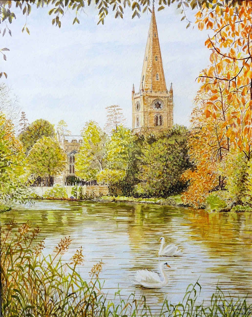 Autumn Swan Stratford-upon-Avon